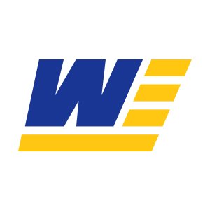 werner electric logo